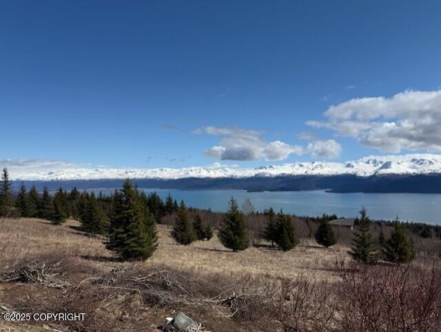 51153 Trail Mountain Road, Homer, Alaska image 36