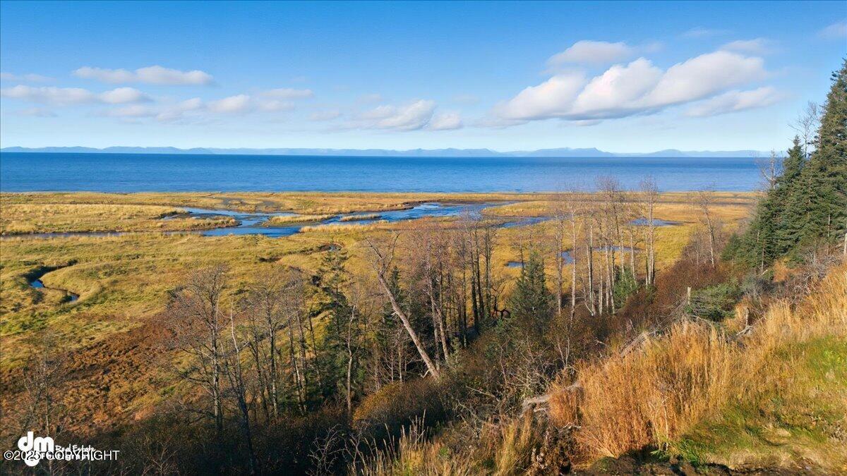 Anchor Point, Alaska 99556, United States, 1 Bedroom Bedrooms, ,2 BathroomsBathrooms,Residential,Active,243897