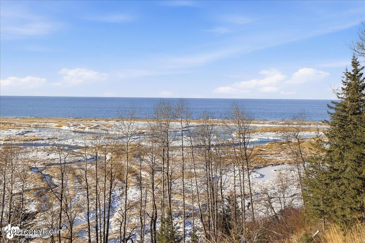 Anchor Point, Alaska 99556, United States, 1 Bedroom Bedrooms, ,2 BathroomsBathrooms,Residential,Active,243897