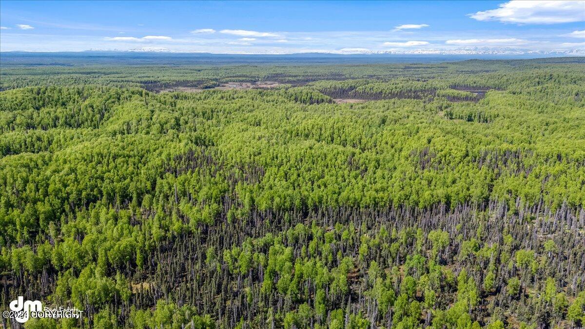 6151 E Road Way, Willow, Alaska image 39