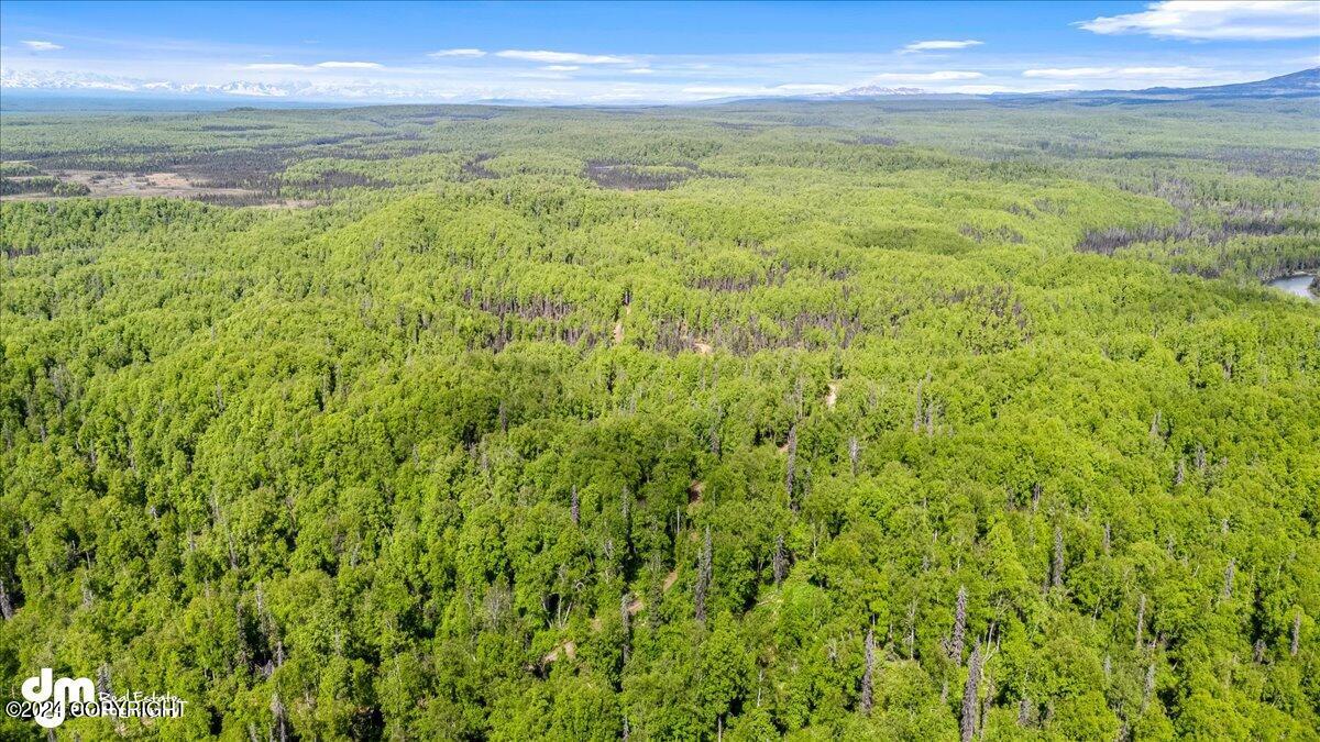 6151 E Road Way, Willow, Alaska image 44