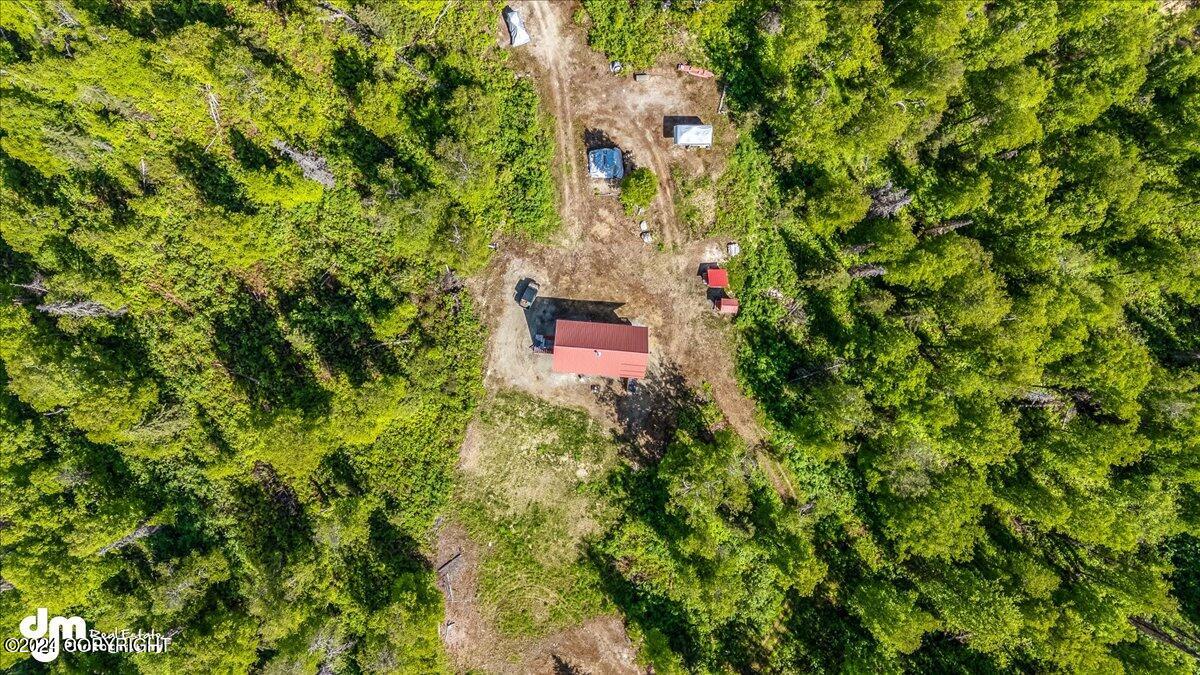 6151 E Road Way, Willow, Alaska image 35