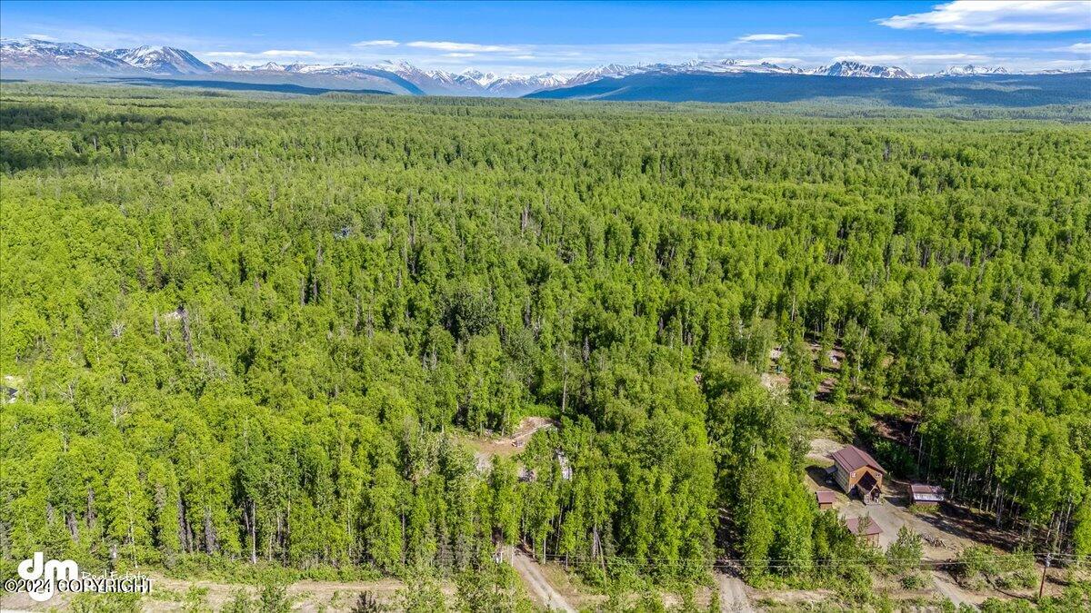 6151 E Road Way, Willow, Alaska image 28