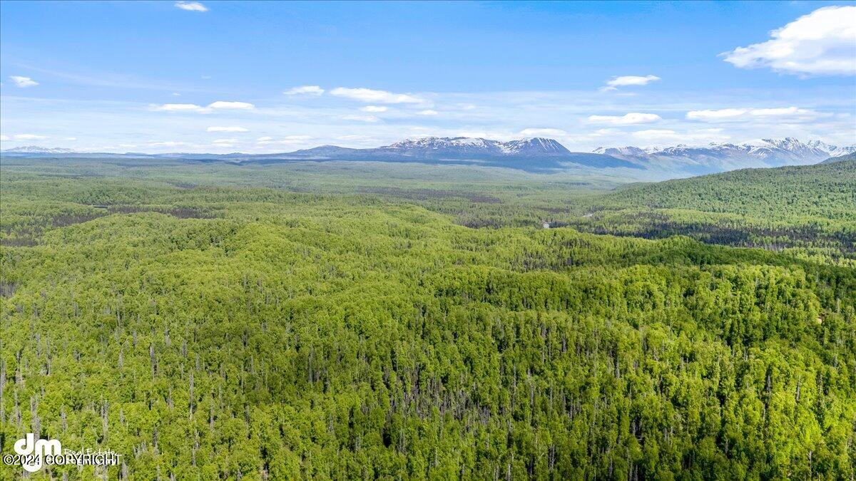 6151 E Road Way, Willow, Alaska image 46