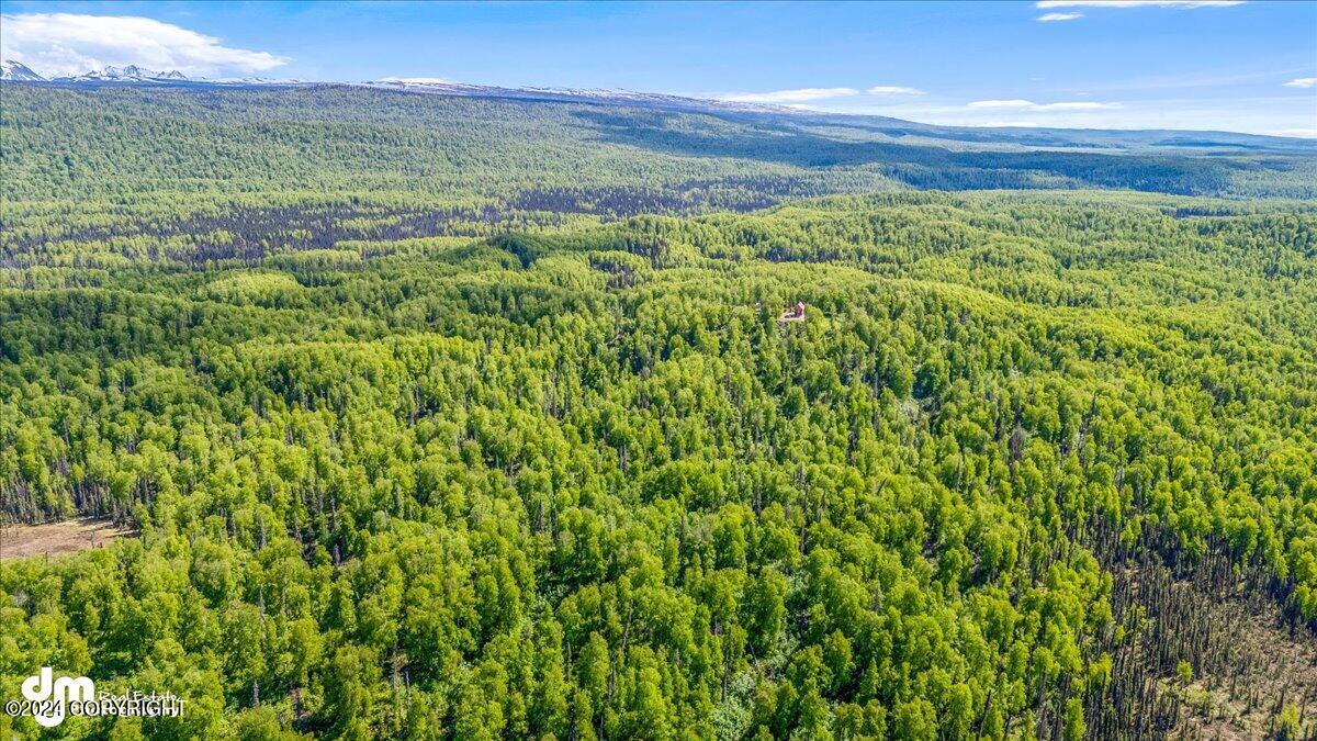 6151 E Road Way, Willow, Alaska image 42