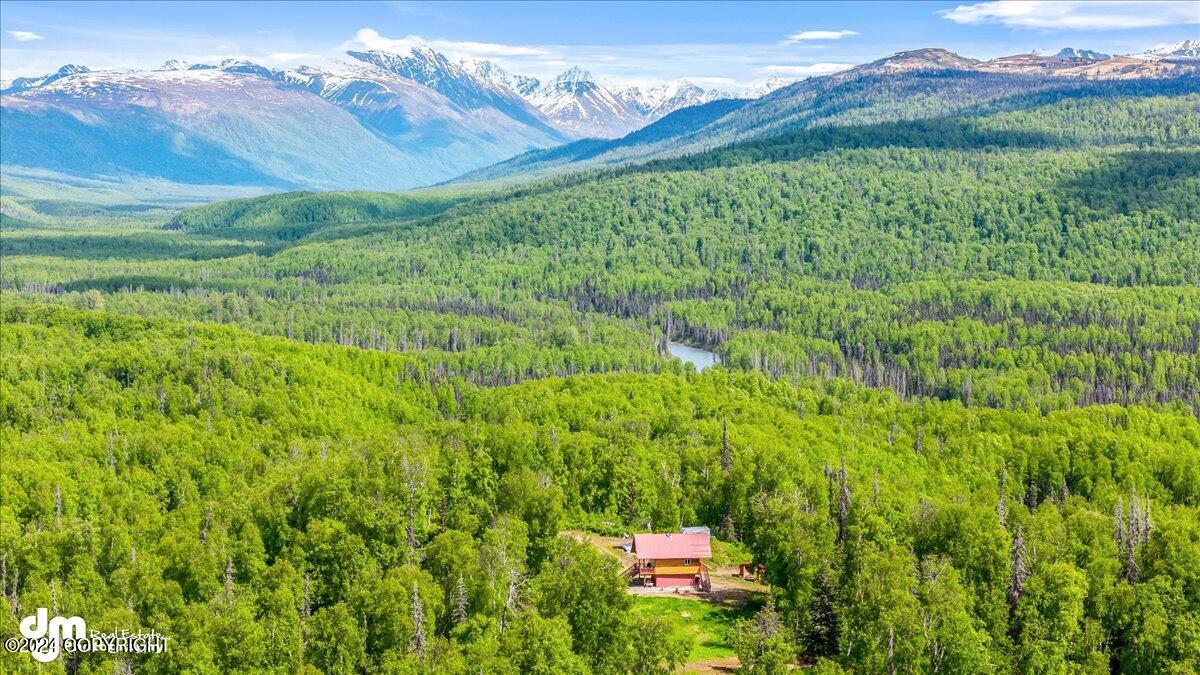 6151 E Road Way, Willow, Alaska image 40