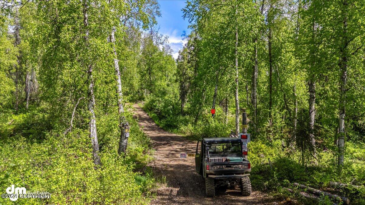 6151 E Road Way, Willow, Alaska image 49