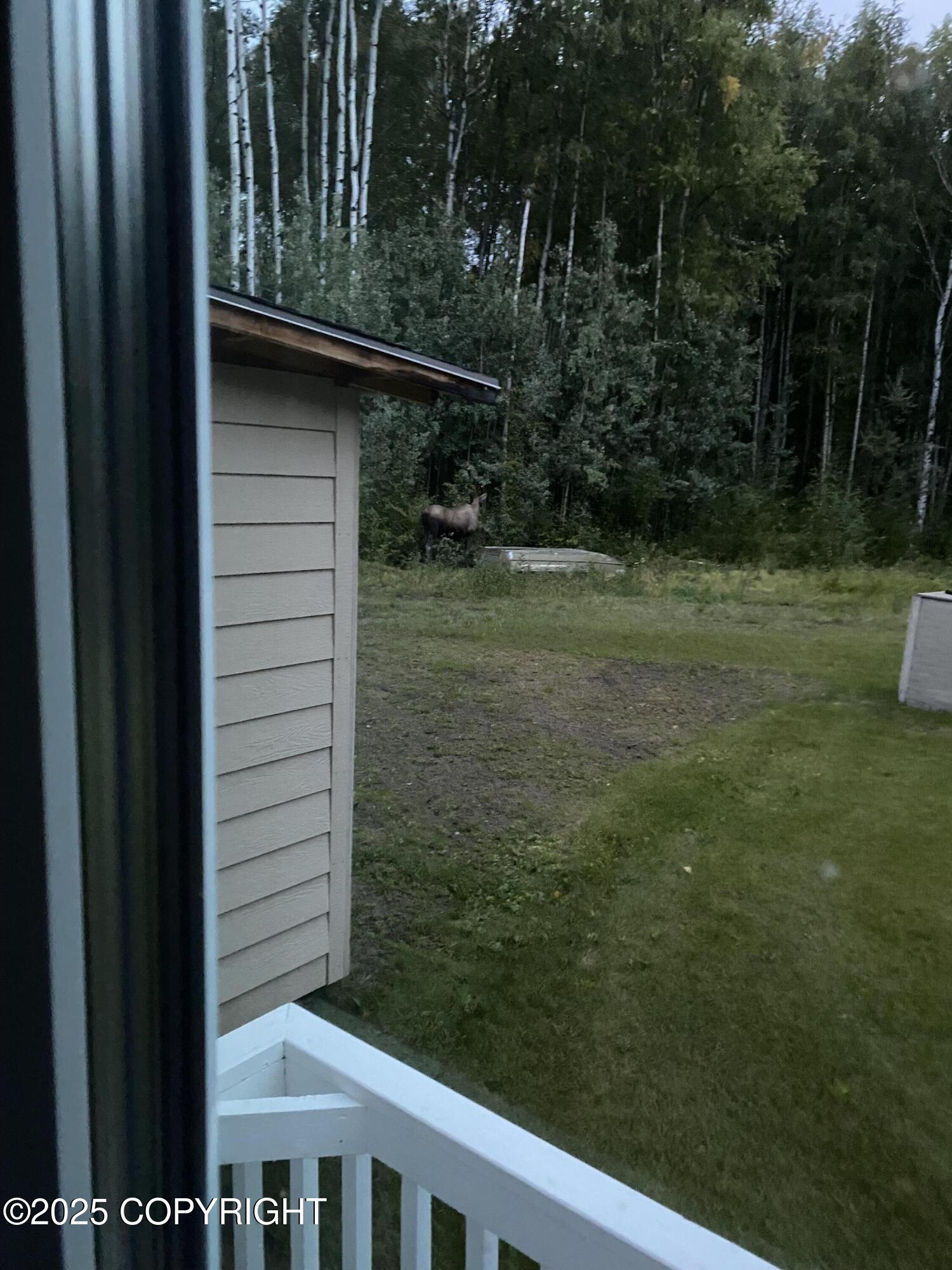 1251 Molly Road, Fairbanks, Alaska image 39
