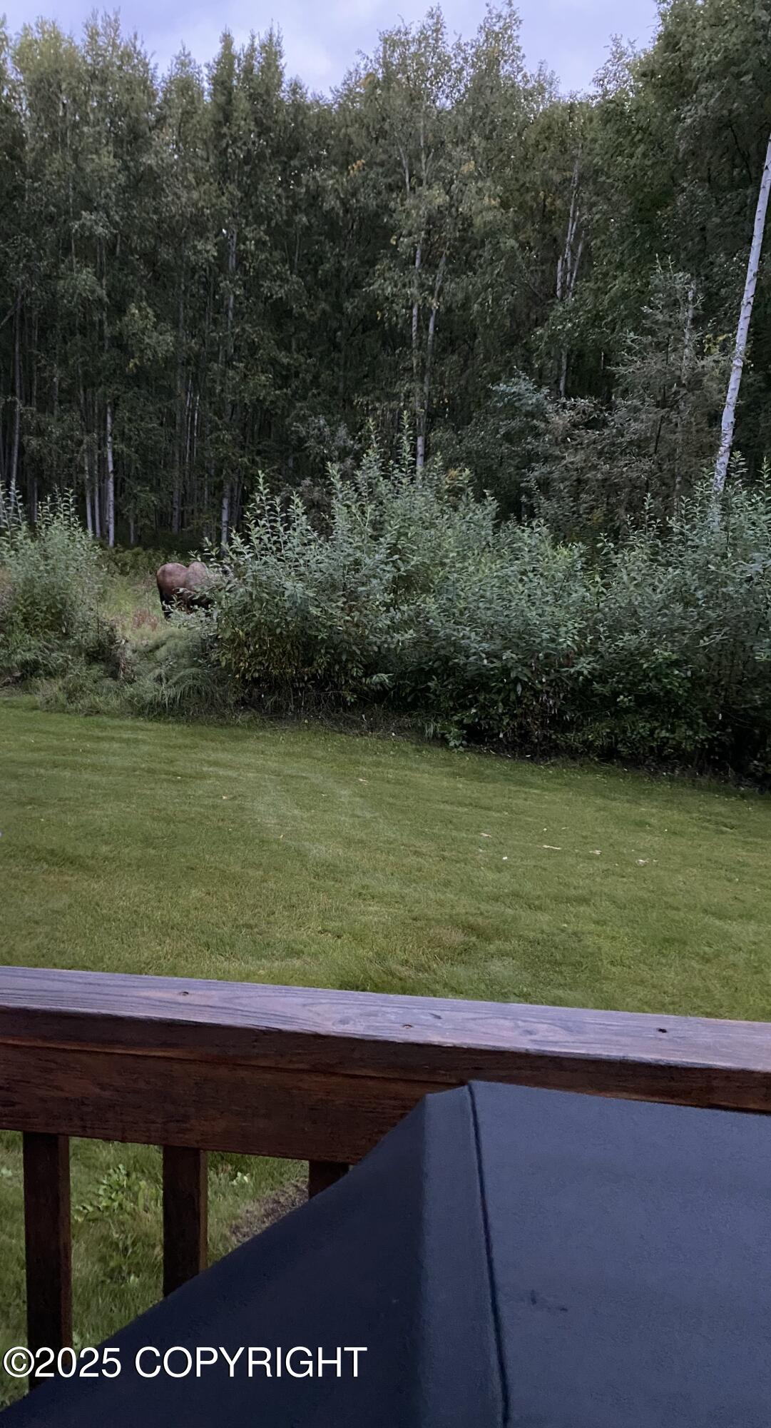 1251 Molly Road, Fairbanks, Alaska image 41