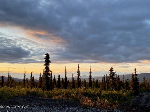 Photo of 49296 S Timberwolf Road, Chickaloon, AK 99674 (MLS # 26-11561)