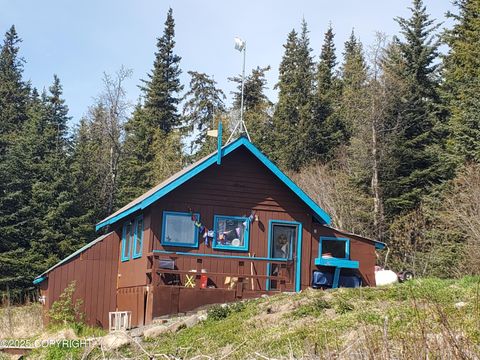 Homes For Sale - 38185 Chelsey Street<br/> Homer, AK 99603