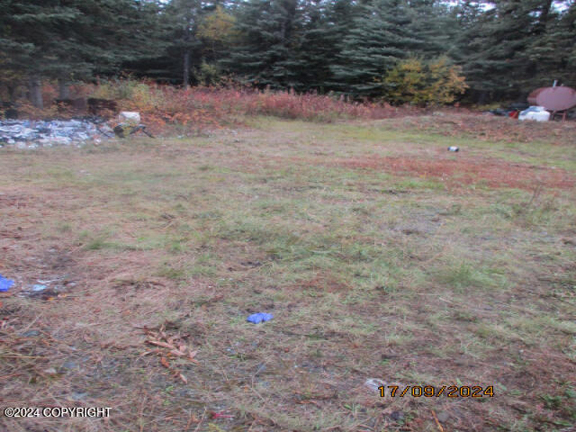 0000 Wrangell Drive, Copper Center, Alaska image 16