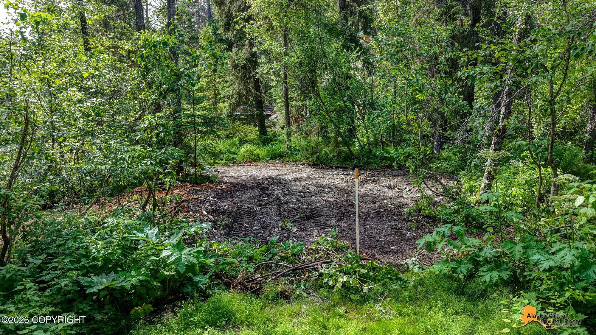 1917 Alyeska Highway