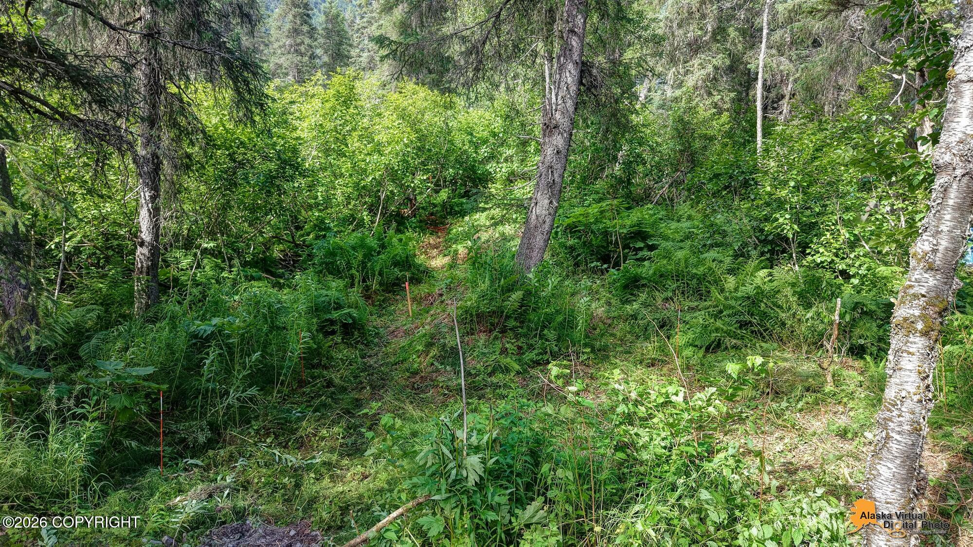 1917 Alyeska Highway