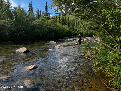 Vacant Land For Sale - NHN North Fork Chena<br/> Fairbanks, AK 99712