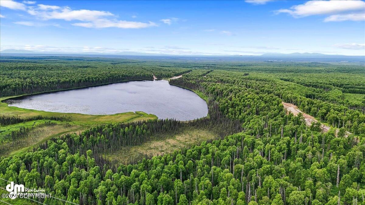 Unit 96 Baldy Lake Airpark Road, Talkeetna, Alaska image 3