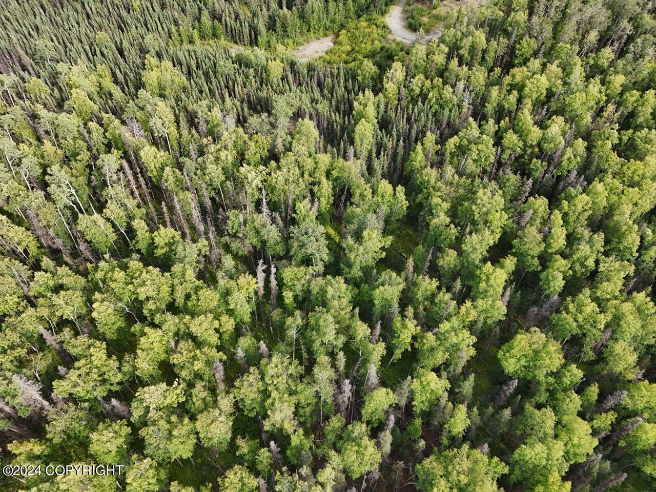 33559 N Shirlene Court, Soldotna, Alaska image 15