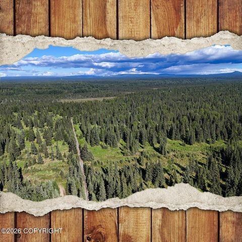 Vacant Land For Sale - 000 Walatka Avenue<br/> Ninilchik, AK 99639