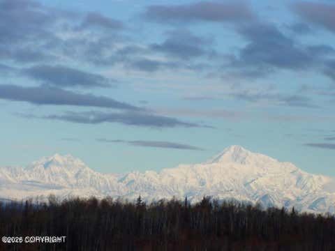 Photo of 35568 S Malaspina Loop, Talkeetna, AK 99676 (MLS # 26-9722)