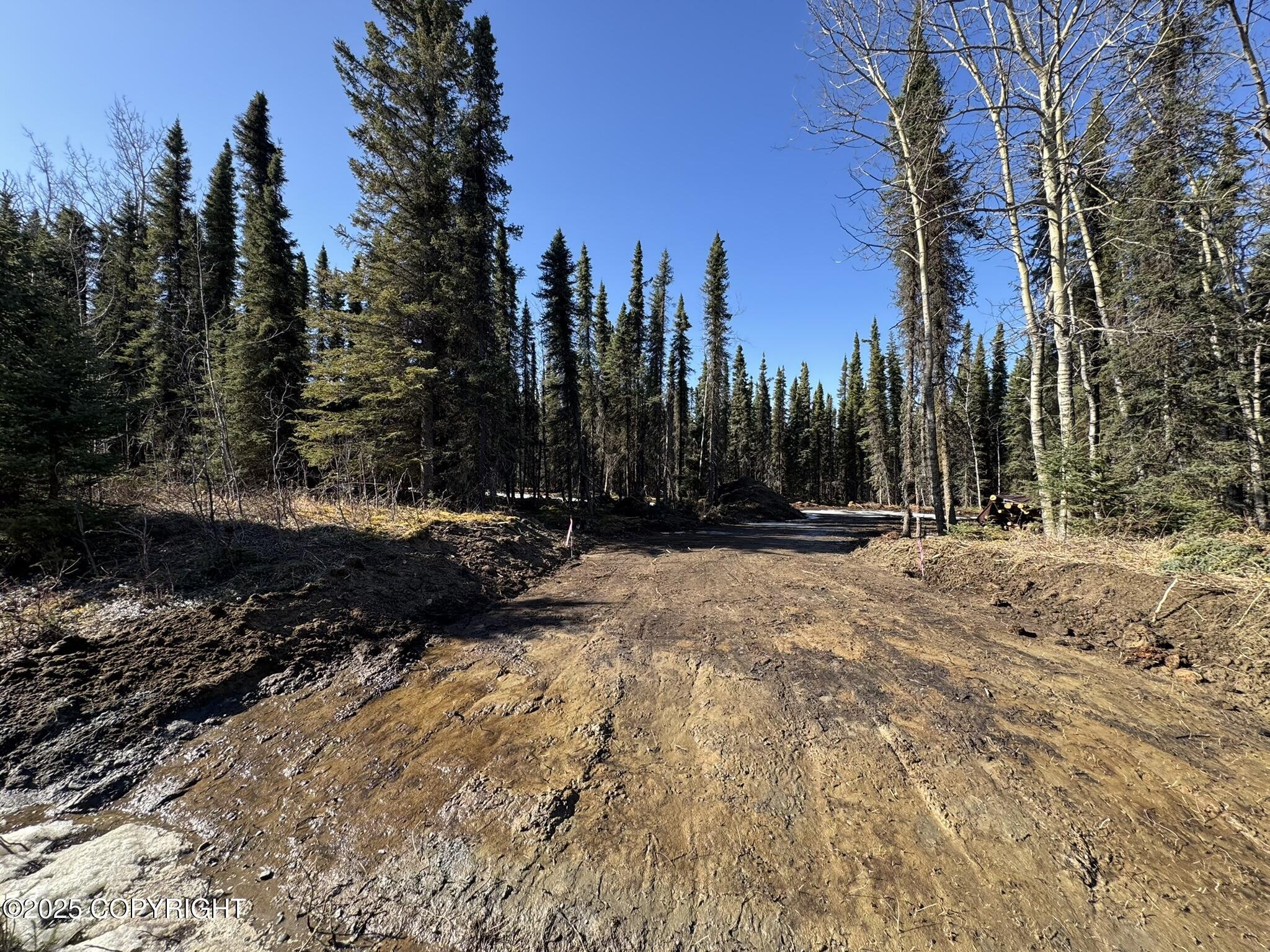 36435 Blackberry Street, Soldotna, Alaska image 1