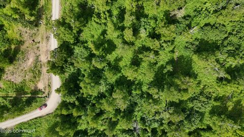 Vacant Land For Sale - 16929 W Fifth Avenue<br/> Wasilla, AK 99623