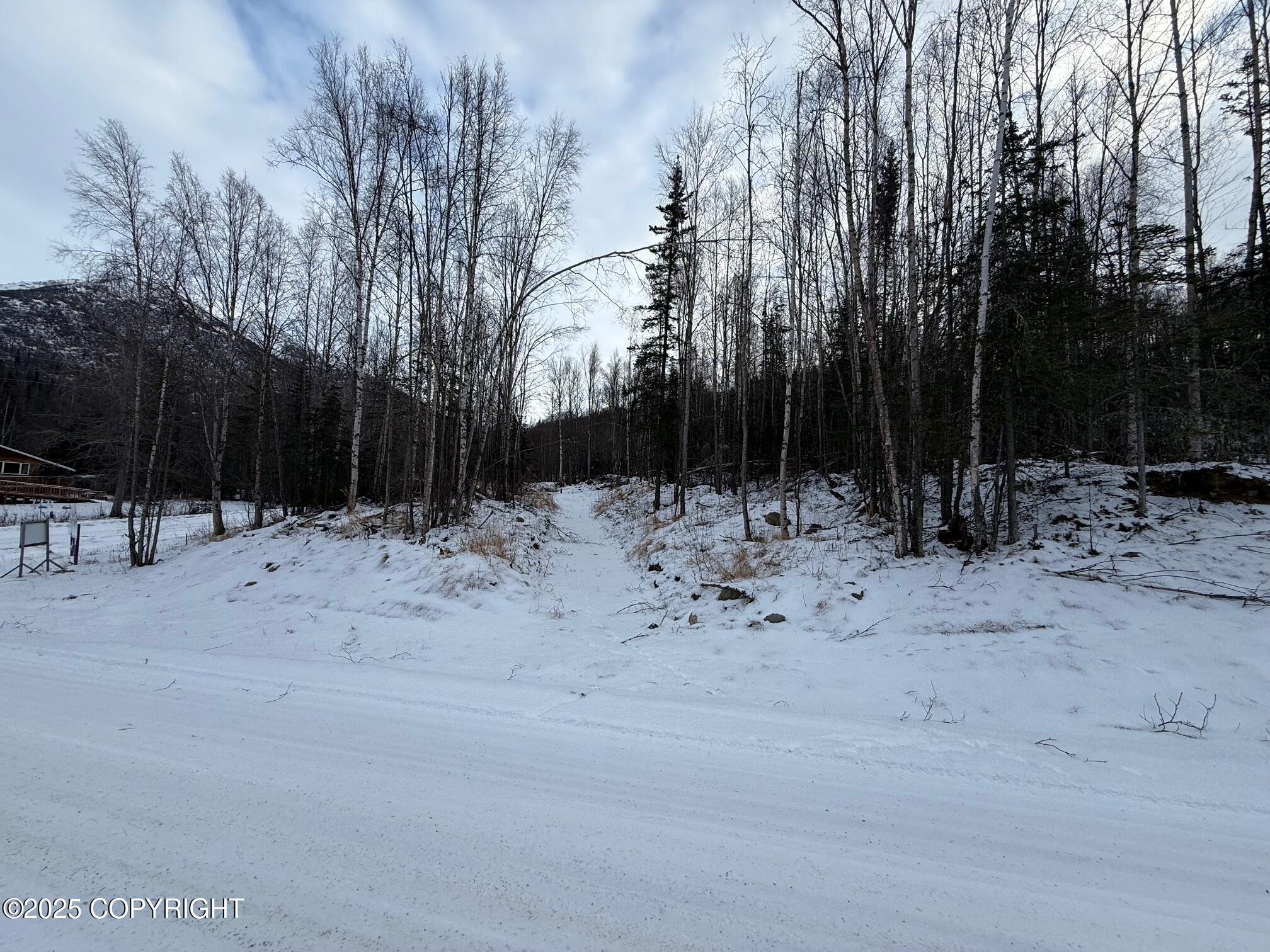 L11 N Jasmine Road, Chugiak, Pennsylvania image 12