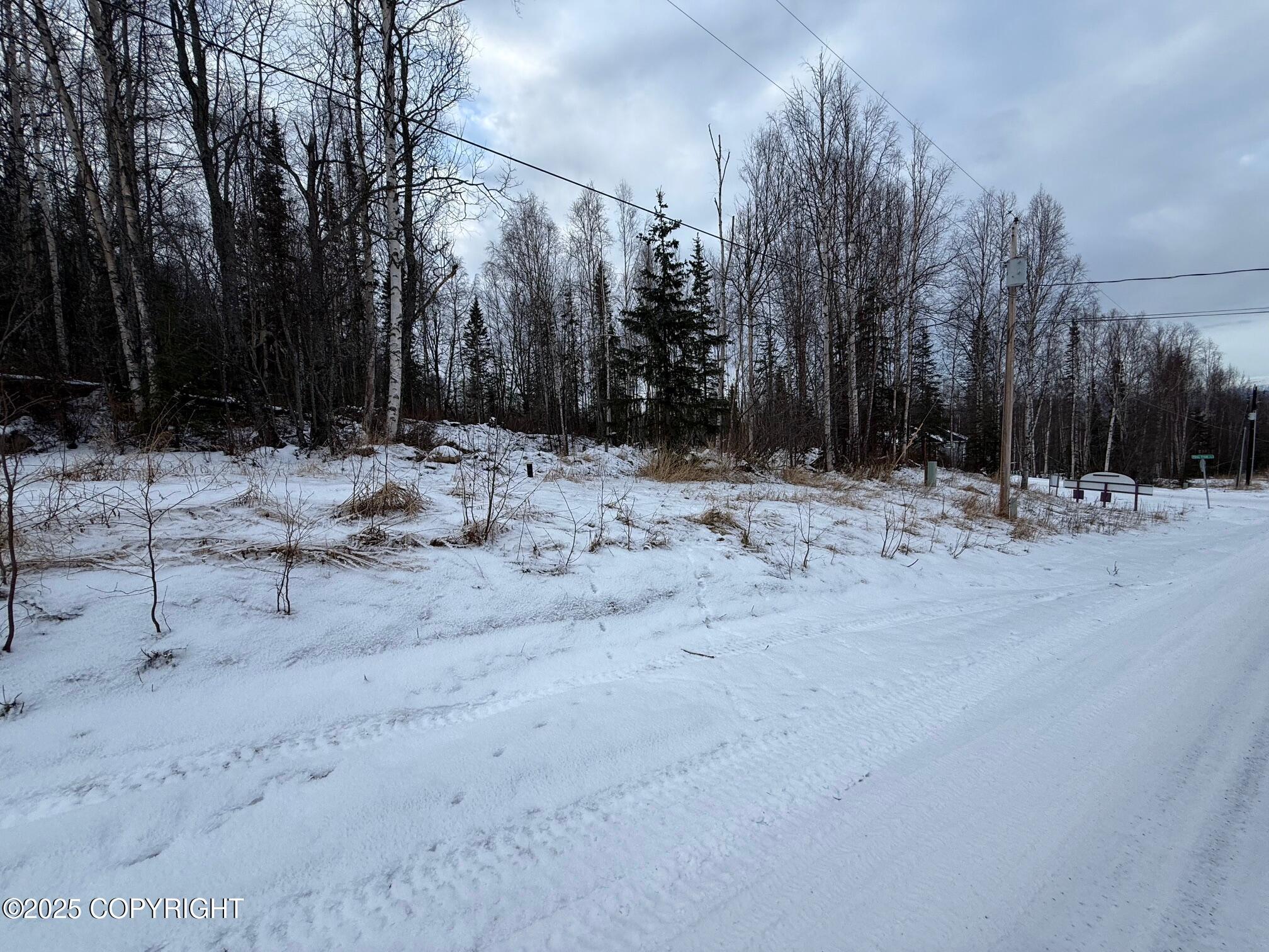 L11 N Jasmine Road, Chugiak, Pennsylvania image 15
