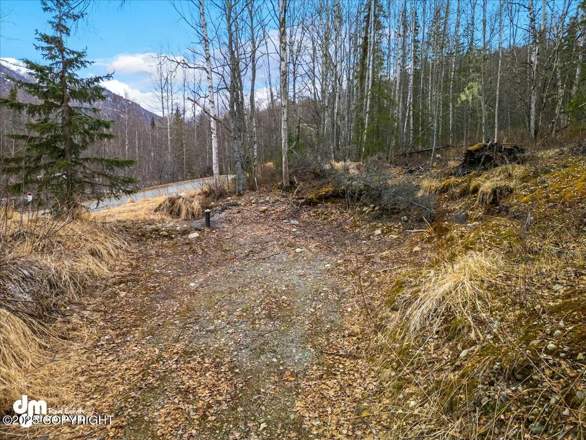 L11 N Jasmine Road, Chugiak, Pennsylvania image 8