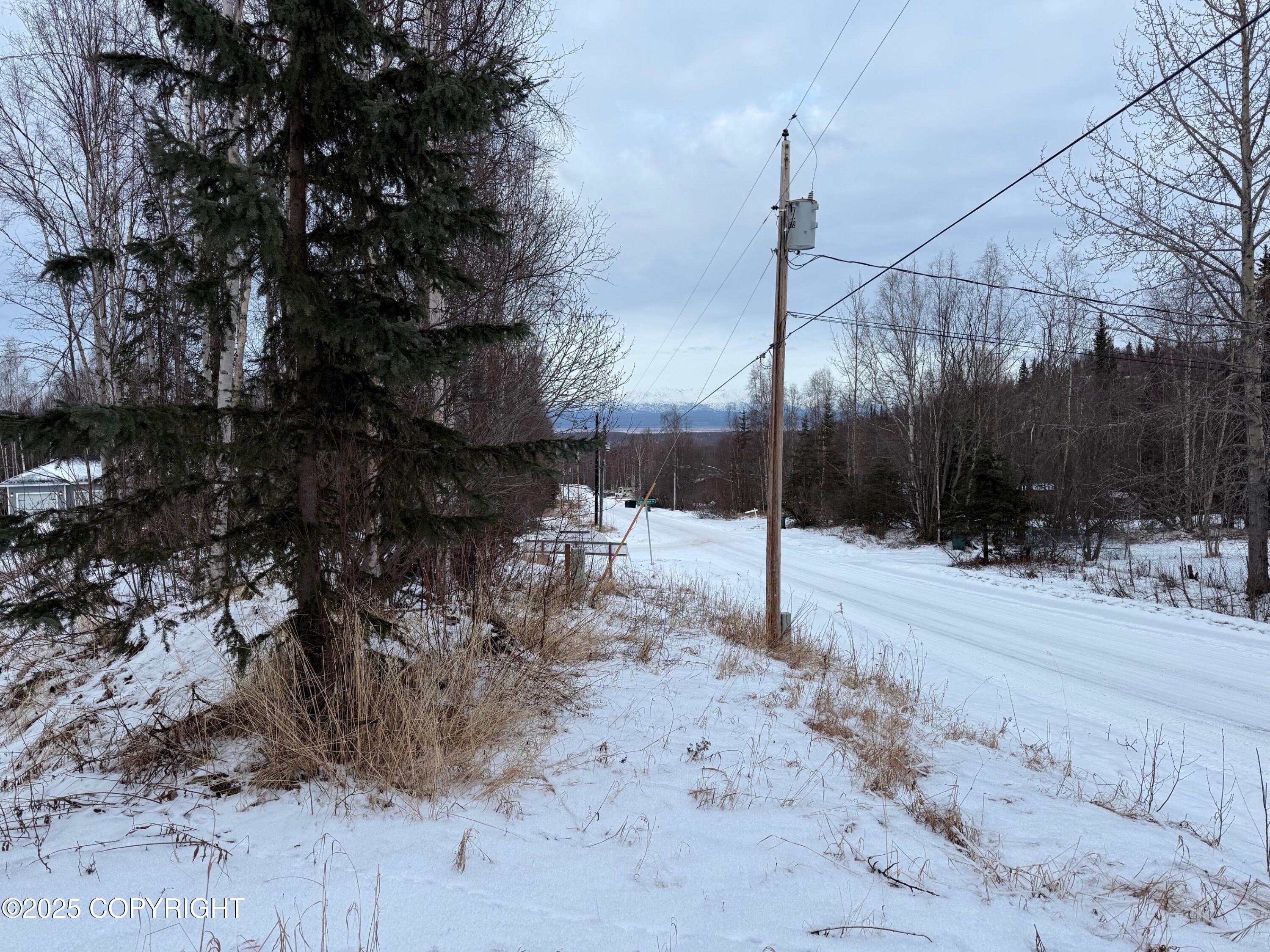 L11 N Jasmine Road, Chugiak, Pennsylvania image 14