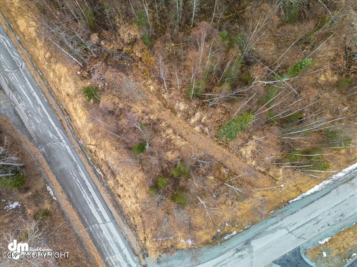 L11 N Jasmine Road, Chugiak, Pennsylvania image 3