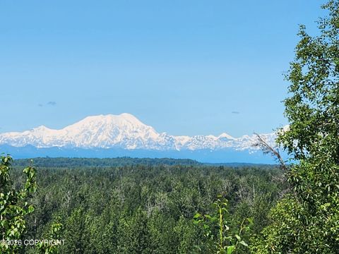 23002 N Gerald Circle Willow AK 99688
