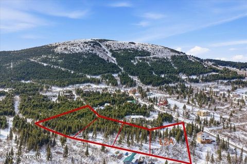 Photo of L2A B11H Rabbit Creek View Drive, Anchorage, AK 99516 (MLS # 26-3572)
