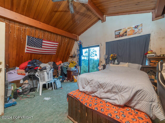 59195 Sterling Highway, Kasilof, Alaska image 23