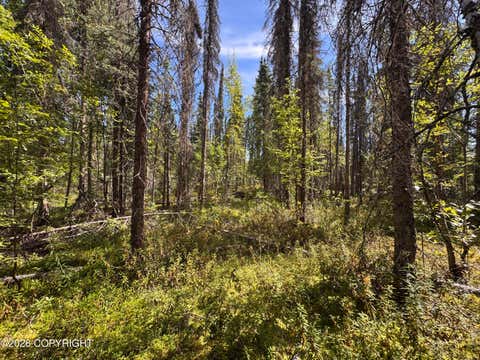 Photo of 50738 S Silver Salmon Drive, Willow, AK 99688 (MLS # 26-9556)