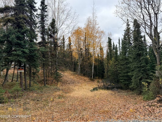 32440 LAKEFRONT DR, SOLDOTNA, AK 99669 - Image 7fd279e1928a9331cf00f433c44ea6fa/79333756