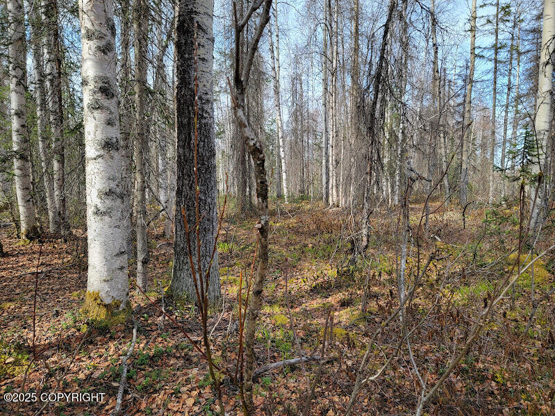 19859 E Caughtabigone Avenue, Willow, Alaska image 5