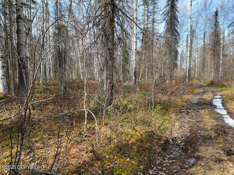 19859 E Caughtabigone Avenue, Willow, Alaska image 6
