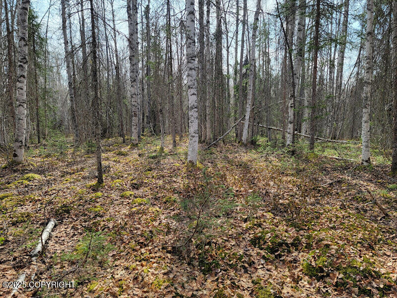 19859 E Caughtabigone Avenue, Willow, Alaska image 3