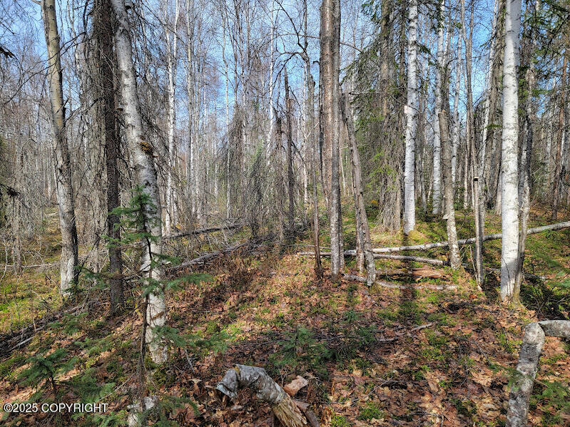 19859 E Caughtabigone Avenue, Willow, Alaska image 4