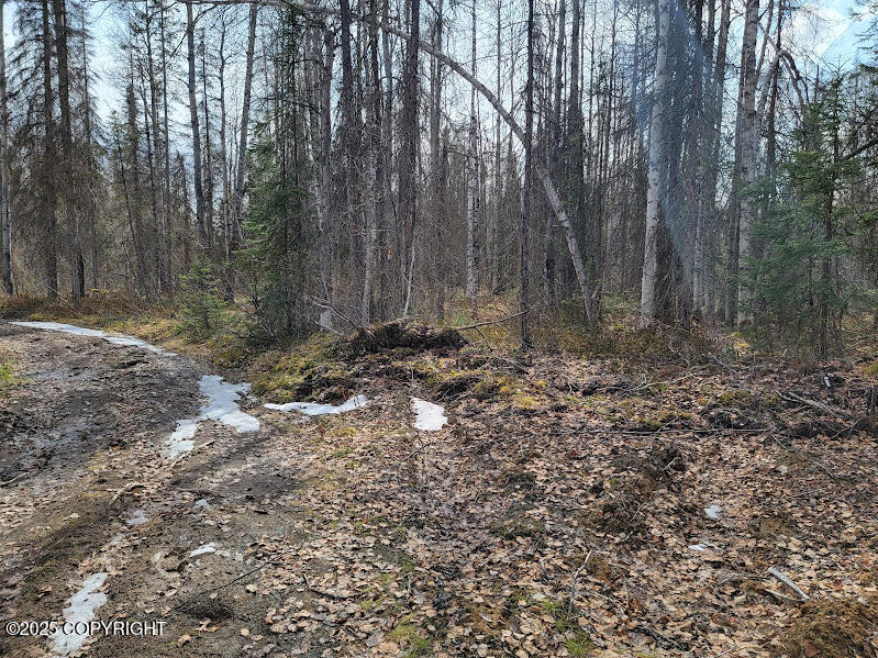 19859 E Caughtabigone Avenue, Willow, Alaska image 2