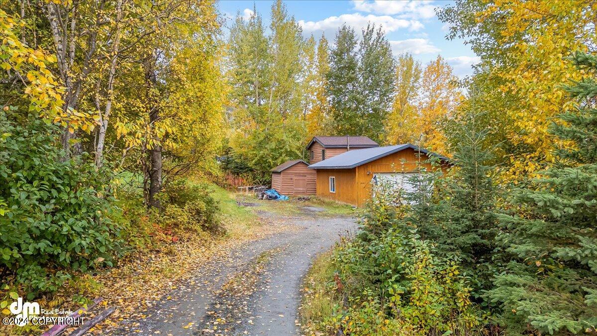 20442 E Reich Court, Palmer, Alaska image 42