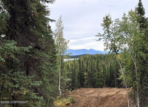 Vacant Land For Sale - TR A4 Aletha Court<br/> Soldotna, AK 99669