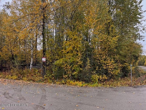 Photo of 14713 N Sundew Circle, Willow, AK 99688 (MLS # 26-12154)