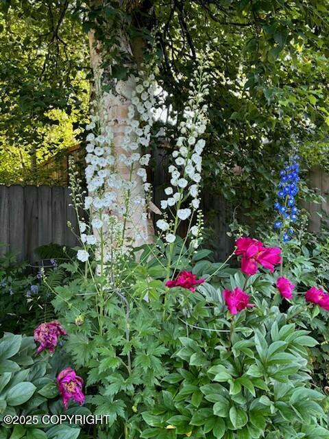 2915 Chesapeake Avenue, Anchorage, Alaska image 9