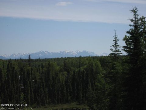 Vacant Land For Sale - 36570 Edgington Road<br/> Soldotna, AK 99669