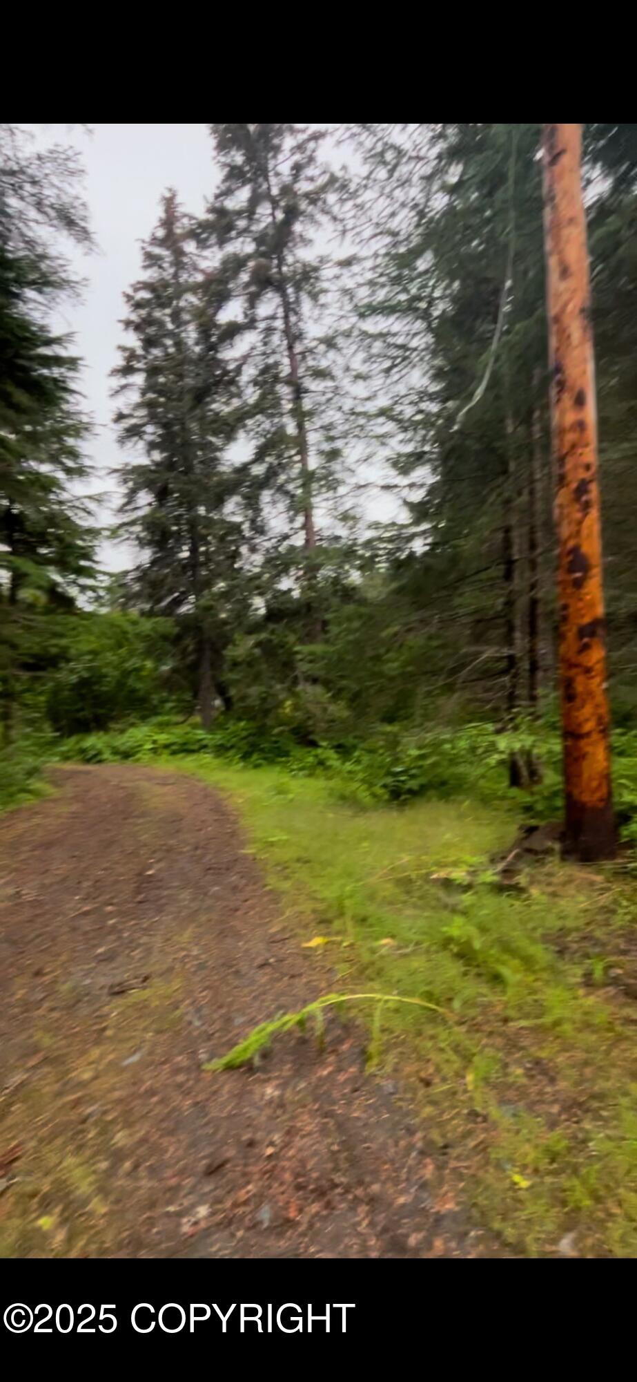 27050 E Seward Highway, Seward, Alaska image 18