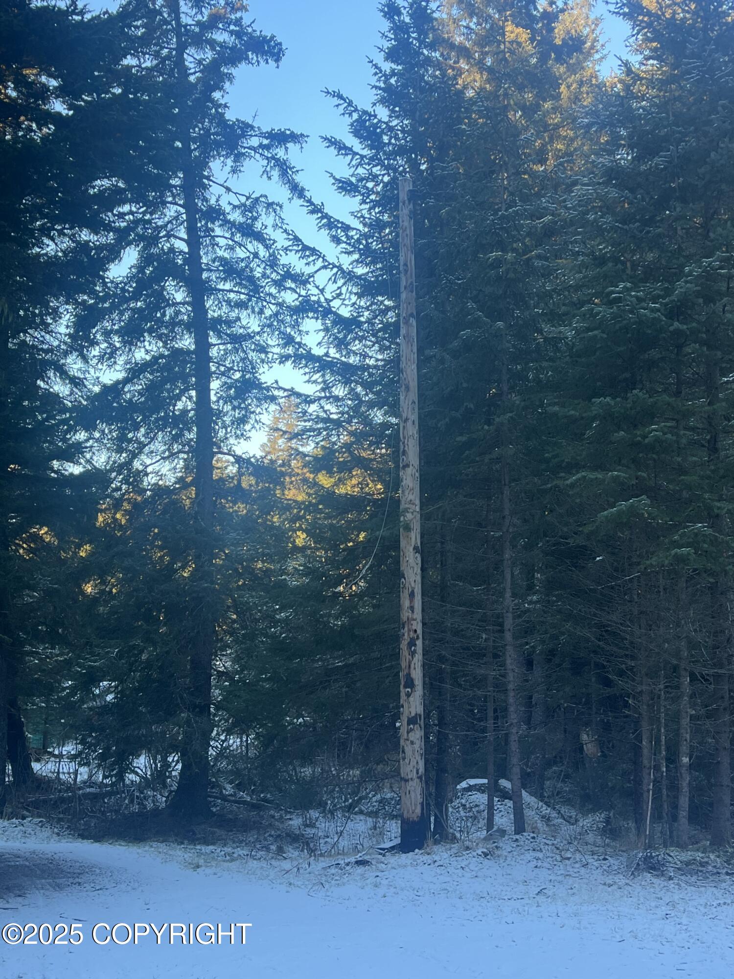 27050 E Seward Highway, Seward, Alaska image 5