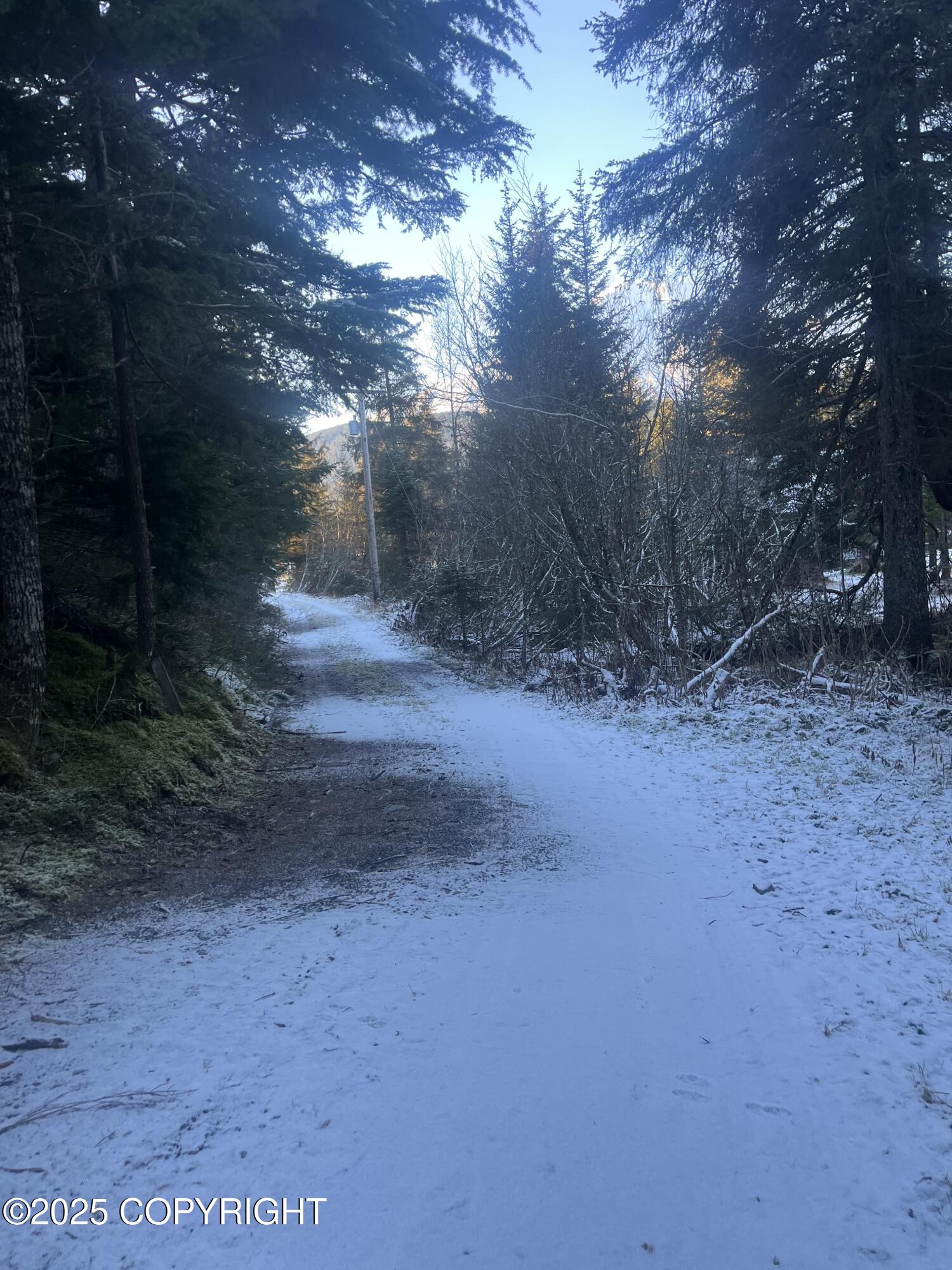 27050 E Seward Highway, Seward, Alaska image 9