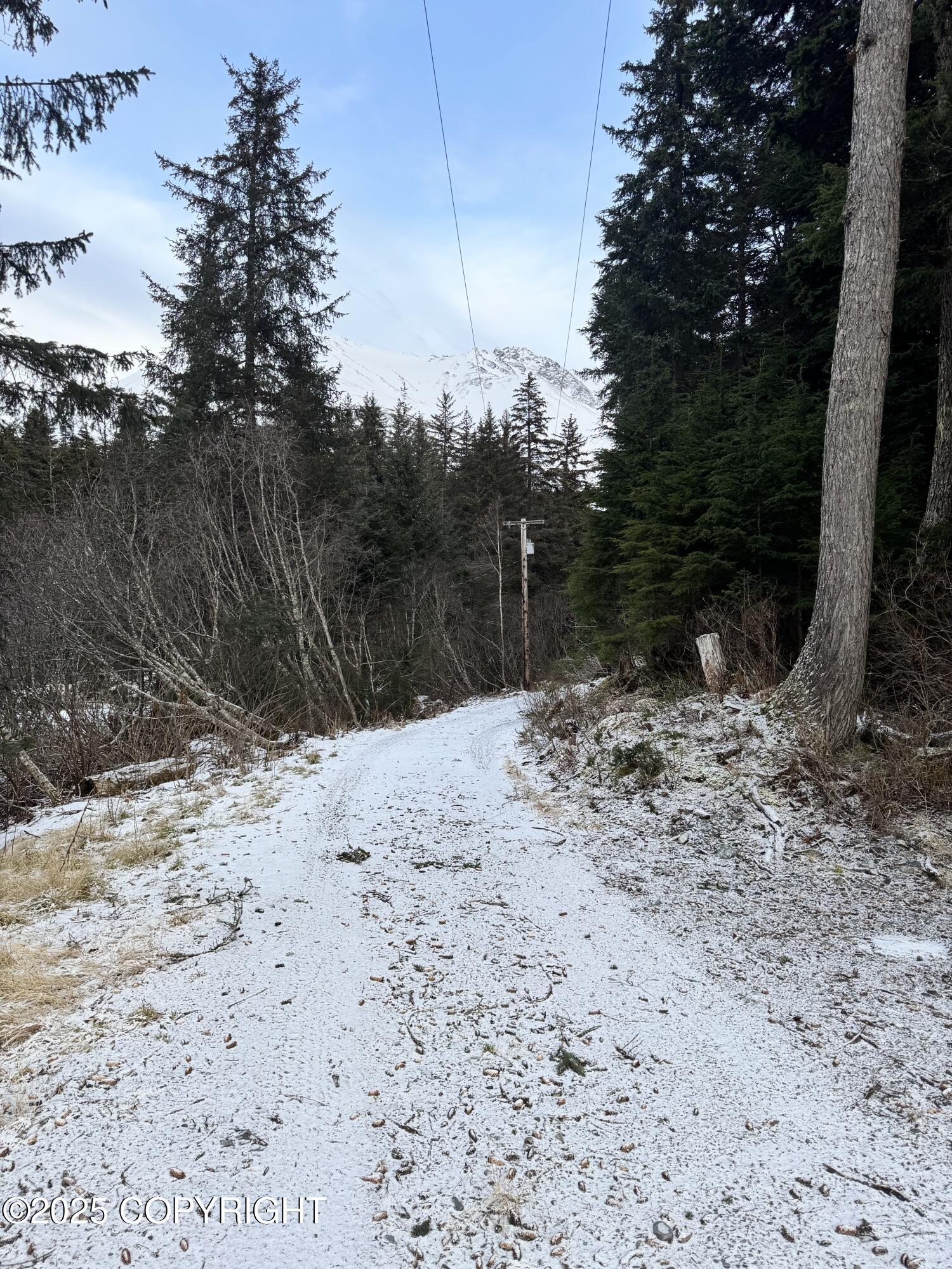 27050 E Seward Highway, Seward, Alaska image 26
