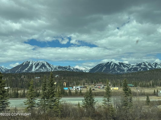 L35 WONDERSTRUCK AVENUE, CANTWELL, AK 99729 - Image 81cf102a6dfc61be7abb796dfd47182f/3450484770